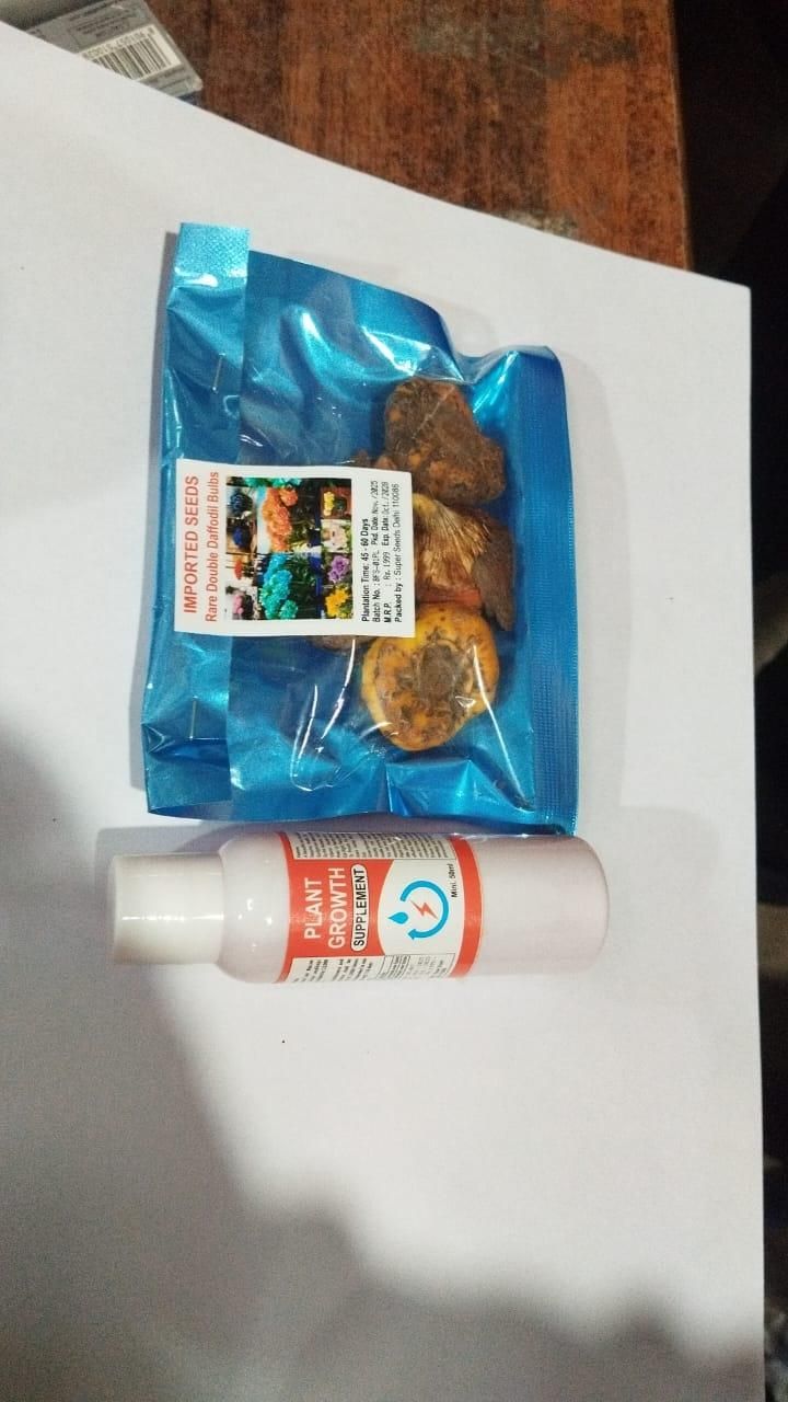 Rare Daffodil Bulbs with Plant Growth Supplement (Pack of 8)