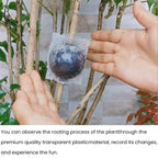 Rooting Balls Pack of 5 with Pot Mix Combo