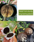Reusable Plant Root Growth Balls with Locks (Pack of 5)